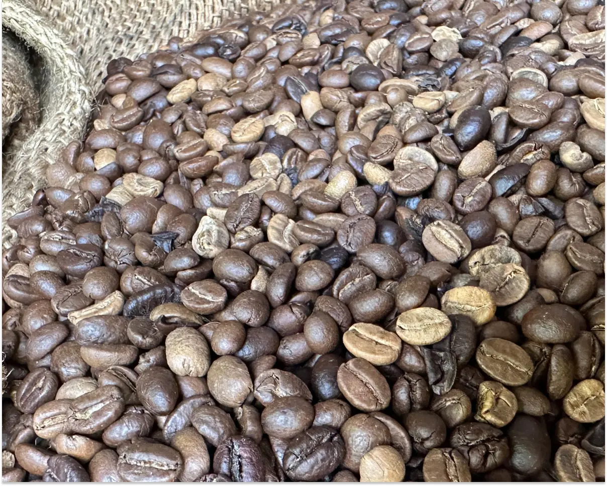 Oily Coffee Beans Understanding the Role of Oils in Coffee Flavor